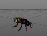 蜜蜂,昆虫Cinema 4d模型
