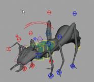 蚂蚁,动物maya模型