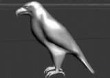 鹰,鸟max模型