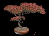 桃树,梅花树,植物,盆景,室内装饰max模型