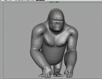 猩猩,动物maya模型
