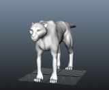 豹子,动物maya模型