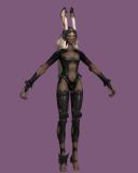 兔女郎,游戏角色max模型