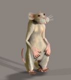 卡通动物,老鼠max模型
