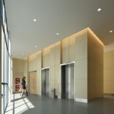 电梯厅,走廊max模型