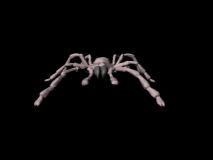 蜘蛛王的maya模型