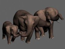 大象一家3D模型