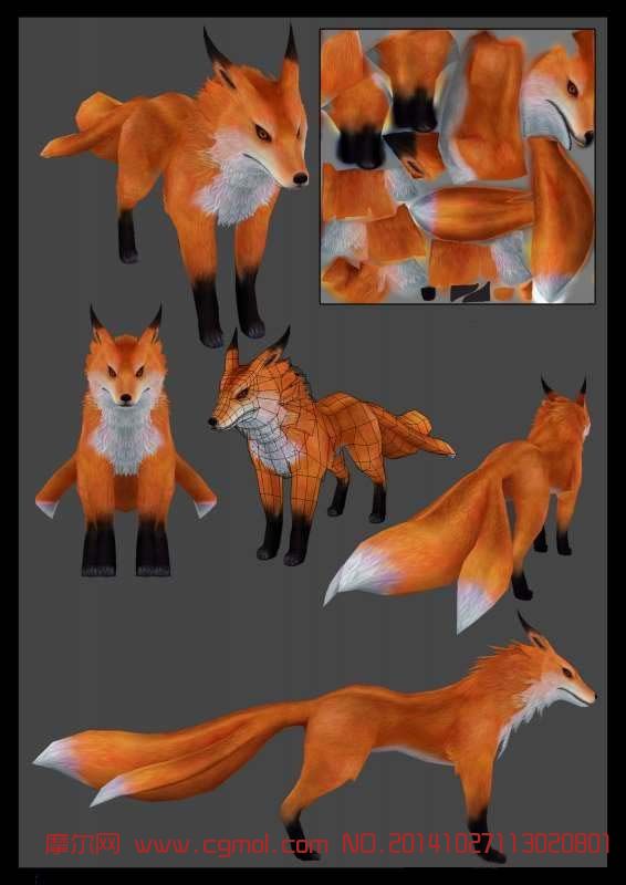 fox 三尾狐狸的模型
