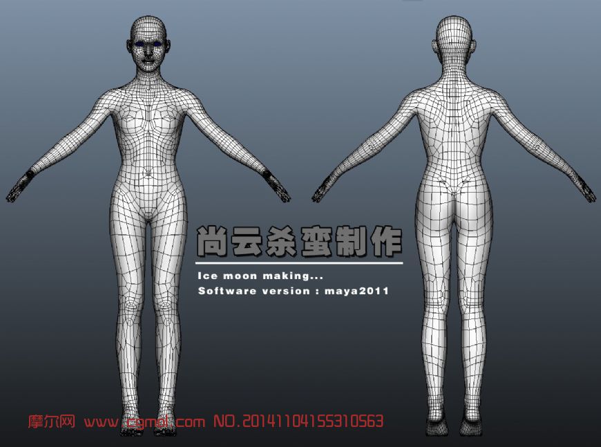 基础人体女人体模型uv已展开,基础人体,动画角色,3d