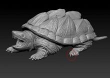 鳄龟3D模型