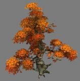 一款游戏中的枫树模型