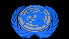 联合国维和部队 logo