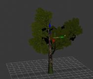 3d模型大树
