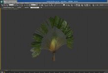 芭蕉树3D模型
