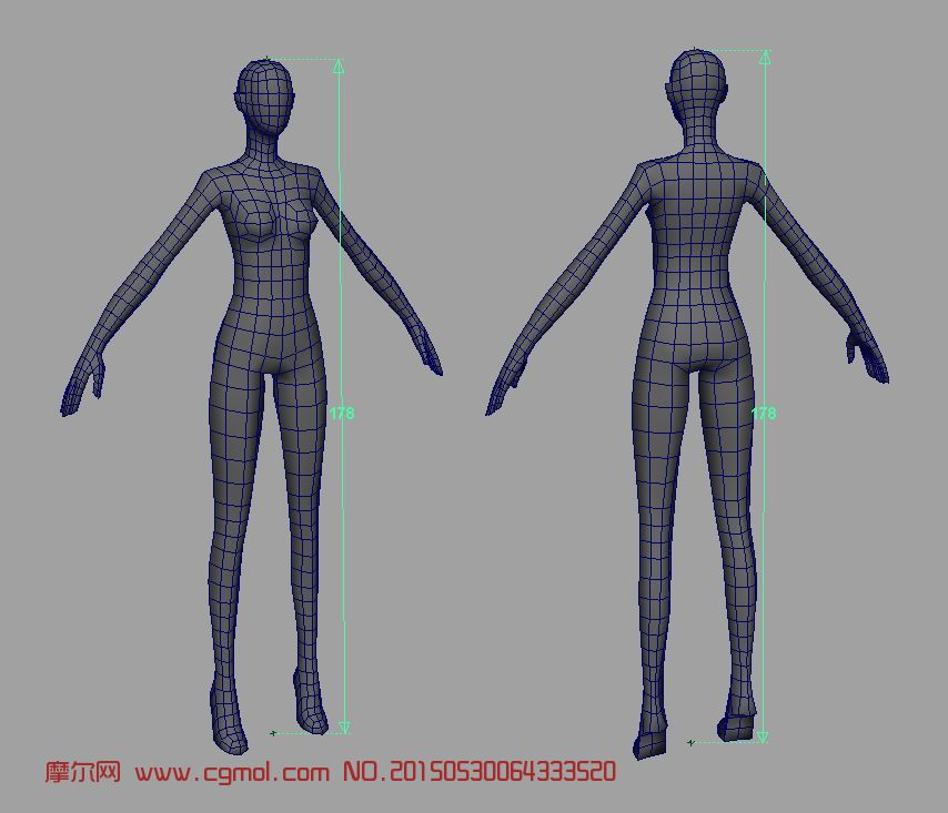 基础女人体3d模型obj格式