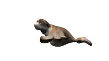游动的海豹,海狮,有绑定动画