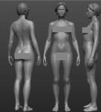 女人基本人体,女性模型