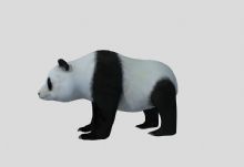熊猫max模型