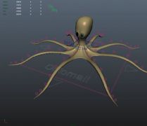 Octopus史前大章鱼Maya模型