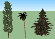 三种树的su模型