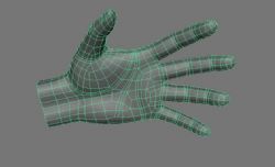 写实人手maya模型
