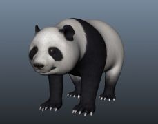 熊猫宝宝maya模型
