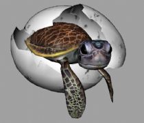 小海龟破壳出生动画,无蛋壳贴图