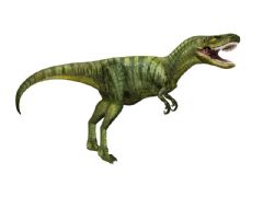 阿尔伯脱龙(Albertosaurus)