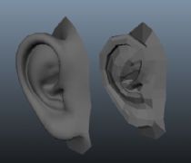 基础耳朵maya模型