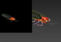 昆虫萤火虫,包含贴图,FBX格式