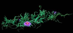 沼泽中的藤蔓花朵植物3D模型