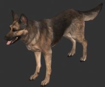 军犬3D模型(网盘下载)