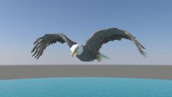 老鹰模型带飞行动画