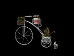 盆栽自行车+兔子