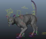 猫走动警觉动画maya2015模型