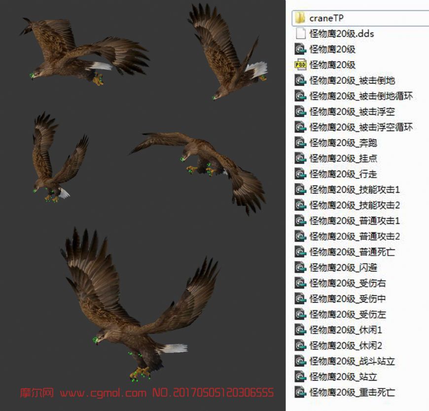 老鹰飞行带骨骼动画含各种动作