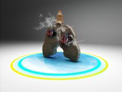 香烟组成的肺部,吸烟有害健康