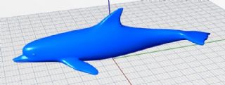 海豚-犀牛建模文件