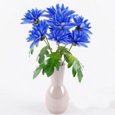 蓝色多肉植物花瓶