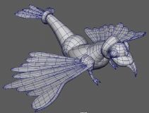 maya小鸟模型