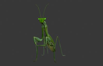 螳螂max模型