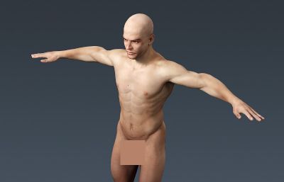 惊叹!男女人体器官结构完整解析max医学人体模型,材质贴图全(网盘下载)