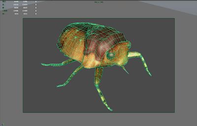 蟾蝽maya模型,影视级写实昆虫模型,有MB,FBX,OBJ等格式
