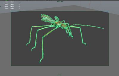 蜂猎蝽maya影视级写实昆虫模型,MB,FBX,OBJ格式