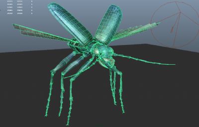 蓝色虎甲,拦路虎maya影视级写实昆虫模型,MB,FBX,OBJ格式