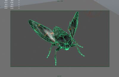 沫蝉,吹沫虫,鹃唾虫影视级别昆虫maya模型,带MB,FBX,OBJ等格式