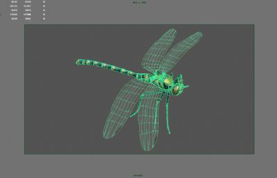 蜻蜓,丁丁,蚂螂maya影视级写实模型,MB,FBX,OBJ格式
