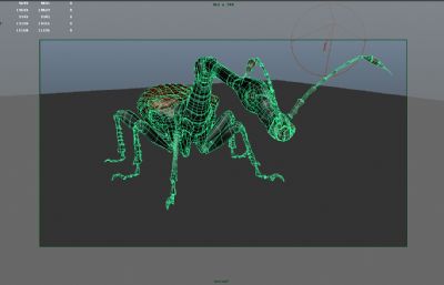 长颈金花甲虫MAYA影视级写实昆虫模型,MB,FBX,OBJ三种格式