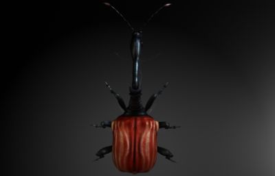 长颈金花甲虫MAYA影视级写实昆虫模型,MB,FBX,OBJ三种格式