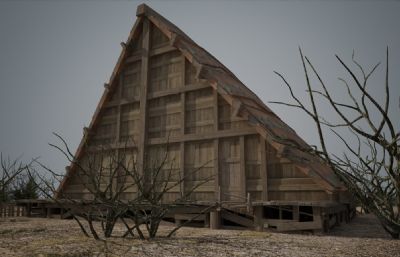 特色的中世纪古代木板房子建筑3D模型(网盘下载)